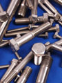 Stainless Steel Screws